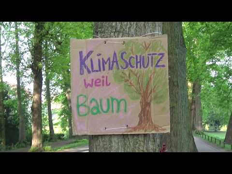 Rooted As A Tree - Klimastreik auf der Promenade in Münster
