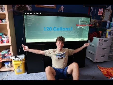 download lagu mp3 mp4 120 Gallon Aquarium, download lagu 120 Gallon Aquarium gratis, unduh video klip 120 Gallon Aquarium