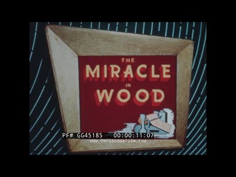 "  PLYWOOD: THE MIRACLE IN WOOD "  1953 DOUGLAS FIR PLYWOOD ASSOC. LUMBER PROMO FILM  GG45185