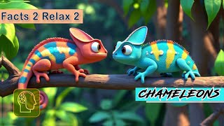 Download the video "22 Cracy facts about Chameleons!"