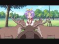 Lucky Star Deer Scene