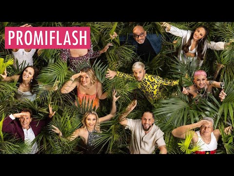 Video Thumbnail: Sonja Zietlow wünscht sich weniger Realitystars im Dschungel