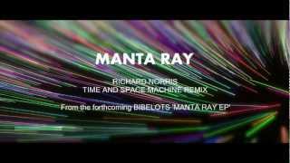 Bibelots 'Manta Ray' Richard Norris Time & Space Machine Remix (vocal version)