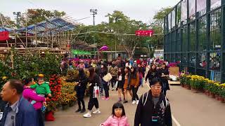 [4K UHD 60fps] 旺角花墟公園年宵市場 Timelapse