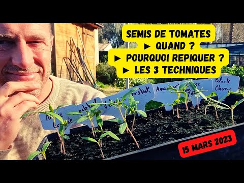 , title : 'C'est LE moment de semer nos tomates #potager #mars 2023'