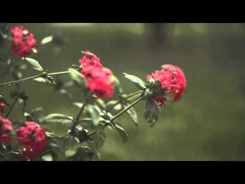 Meeting by Chance - Watermark - SMALL MECHANICS vocal version