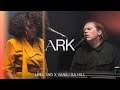Ark