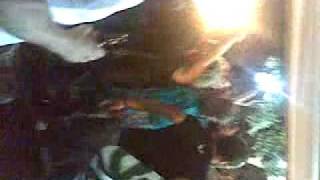 nelio da gas - festas do monte 2009 de gozo :D