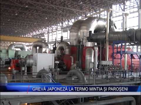 greva japoneza la termo mintia si paroseni www.tele3.ro