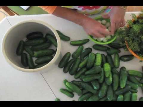 Dill Pickles In A Crock