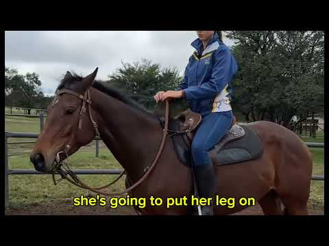 Horse Riding Academy: Mistakes All Riders Make