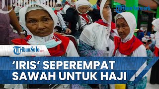 Mbah Misri, Calon Haji dari Grobogan yang Rela 'Iris' Seperempat Sawah untuk Ibadah Haji