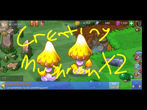 Creating magic mushroom wonder