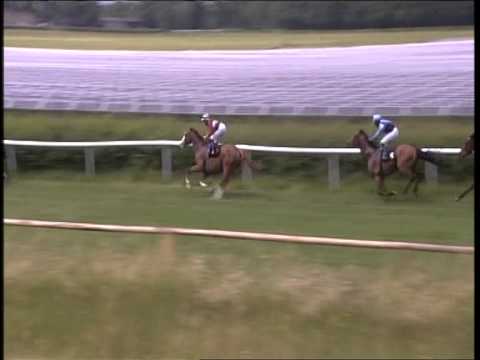 Galopprennbahn Dresden 14.06.2014 - 2. Rennen