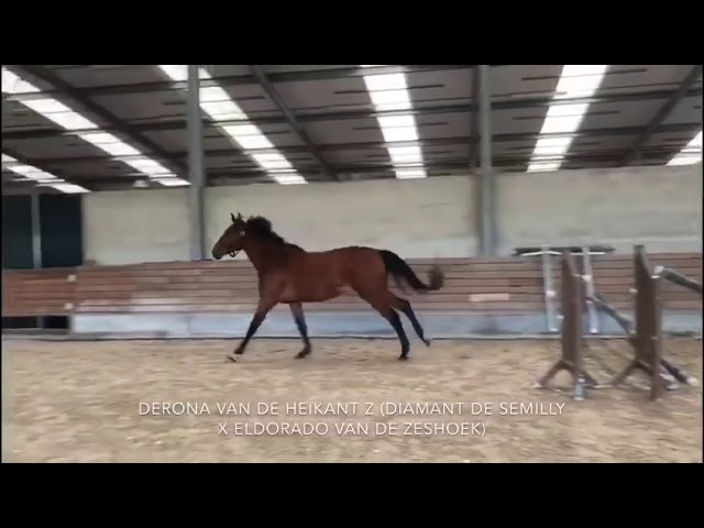 Home free jumping