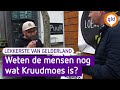 Kruudmoes is typisch iets van de Veluwe, maar wat is het eigenlijk? - Lekkerste van Gelderland