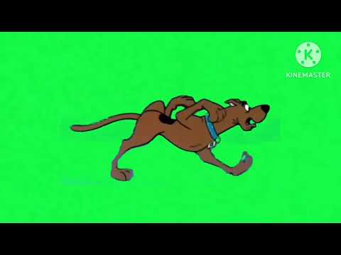 Scooby-Doo Running (Green Screen)