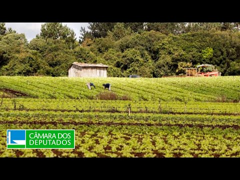 Dificuldades para acionamento do Proagro -Agricultura, Pecuária, Abastecimento e Des. Rural-11/04/24