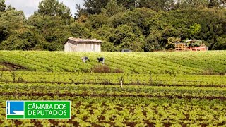  Dificuldades para o acionamento do Proagro - 11/04/2024 10:00