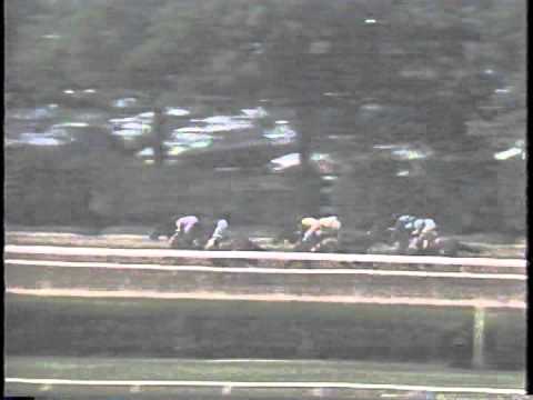 1991 Acorn S. -- Meadow Star