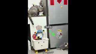 Download lagu This cat did a huge mistake 😖 mp3