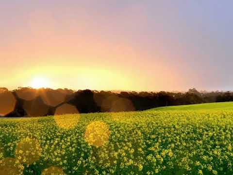 acker bilk - sonia - 1966