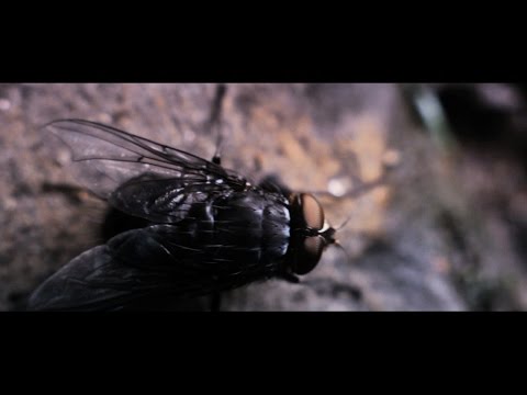 Take 1 Sec for FABRICLIVE 80: Mumdance