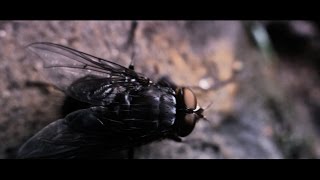 Take 1 Sec for FABRICLIVE 80: Mumdance