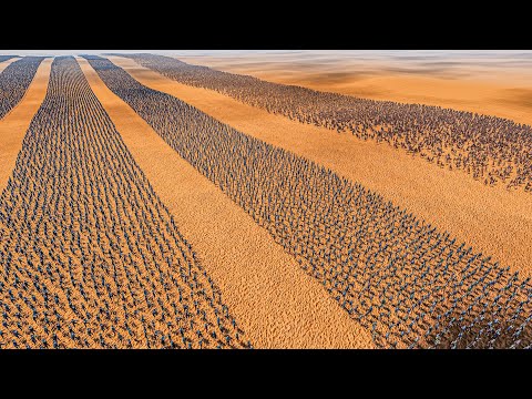 10 LINES OF ARCHERS vs 100.000 ROMAN GENERALS - Ultimate Epic Battle Simulator 2 UEBS 2