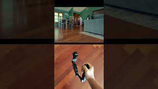 Dog’s POV behind the scenes