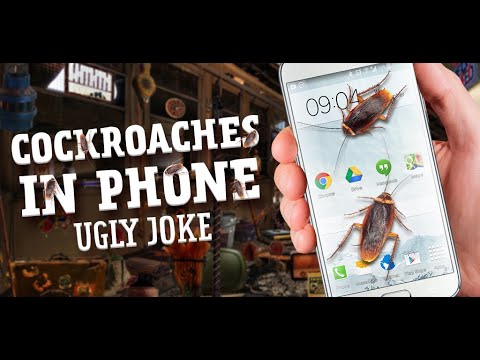 Cockroaches in Phone Ugly Joke Video