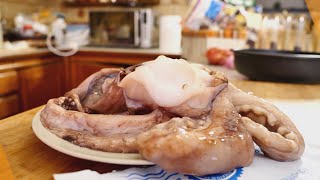 oggiMangio... Tentacoli di Totano Gigante in Tecia