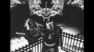 svartsyn .   awesome black metal assault.