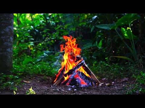 4K UHD Sunset Campfire by the River - 11h Relaxing Crackling Fire & Nature Sounds (High Quality)