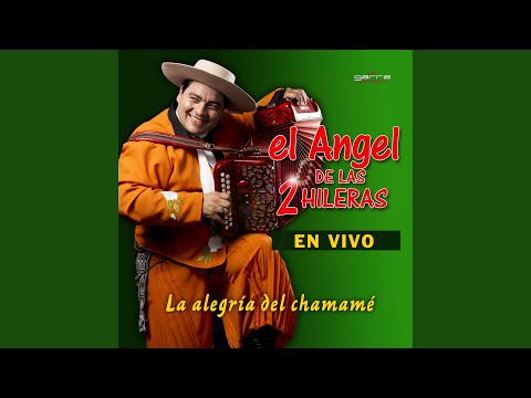 Dame mi ropa / Me Voy y Volví con una Ropita / El Chicotazo Cruzado