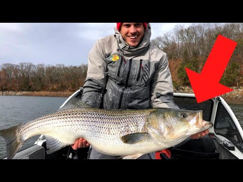 Biggest Bass of My Life!!!