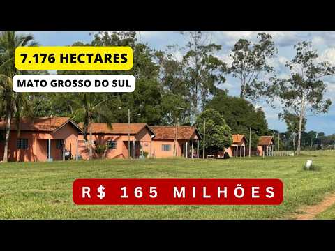 Farm with 7,176 hectares in Mato Grosso do Sul | Complete infrastructure and 2 rivers | R$ 165 mi...