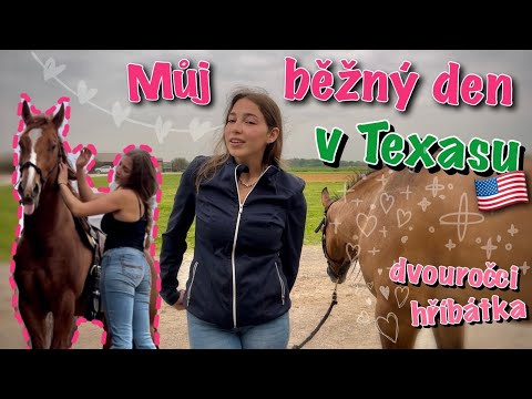 TEXAS #3 // Jaká je moje náplň práce?