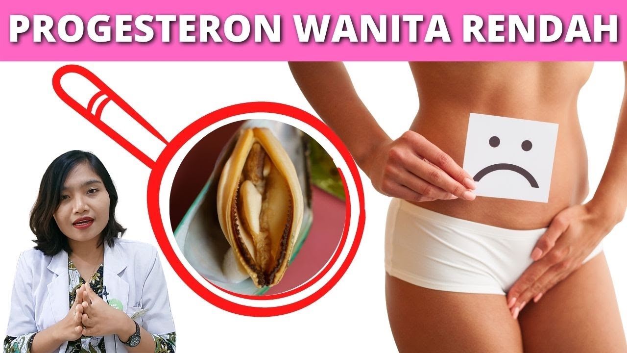 8 TANDA HORMON PROGESTERON RENDAH PADA WANITA | PENYEBAB SULIT HAMIL | dr. Emasuperr