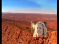 The Alice Leader