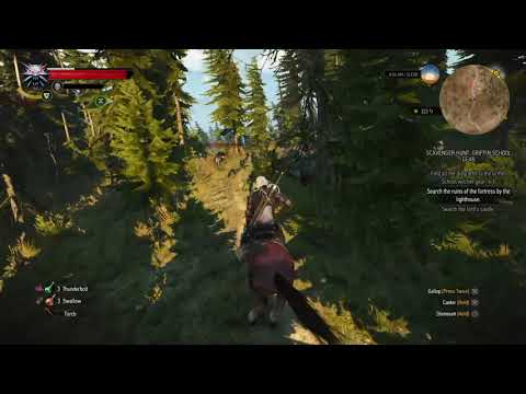 The Legendary Swordsman