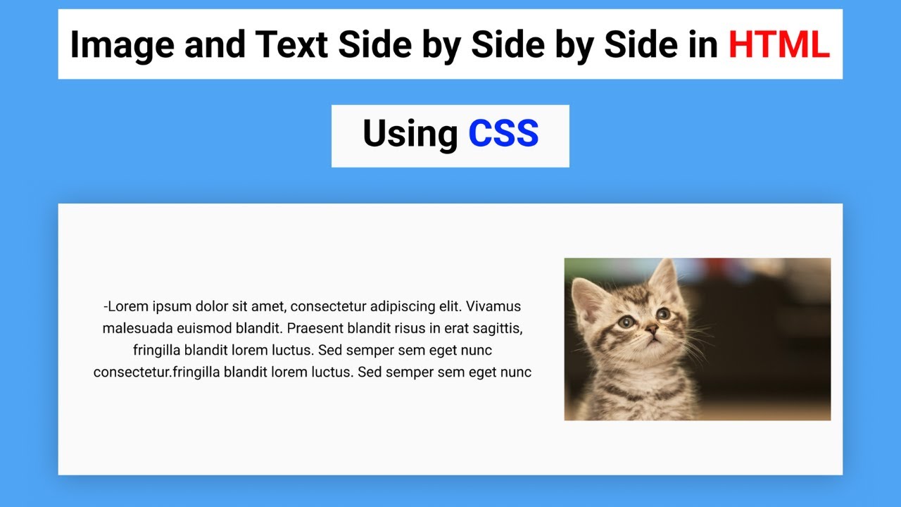 How do I move an image in HTML CSS? Archive REF