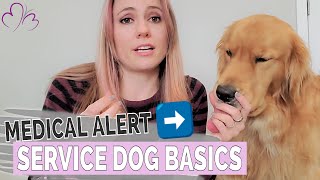 Medical Alert Service Dog 101 // The Basics