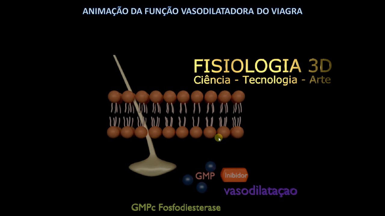 Mecanismo de ação do Viagra