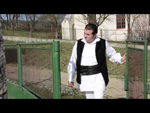 CIPRIAN PICOVICI - Am dat anii tineretii 2014