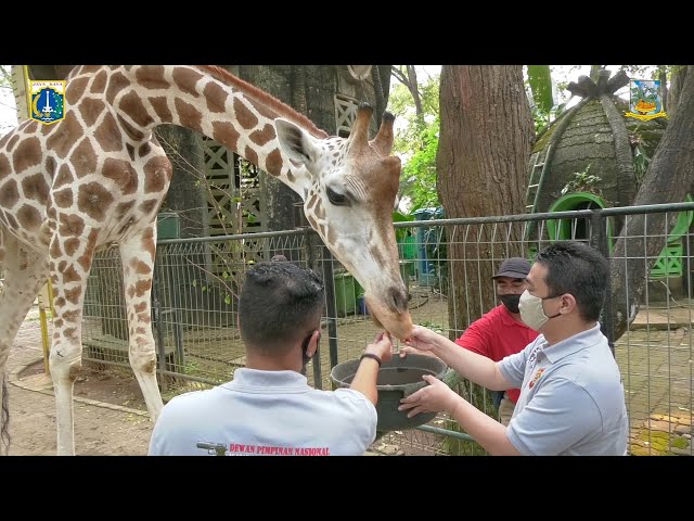 Mewujudkan Kawasan Ekowisata Yang Mewakili Flora Dan Fauna Indonesia