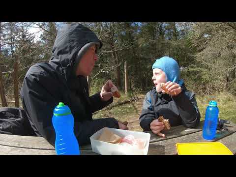 Vandretur fra søndervig til Hvidesande