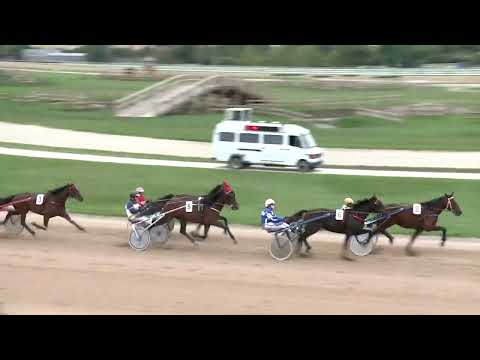 2022.09.17. 04. futam - NYERETLEN KÉTÉVESEK VERSENYE