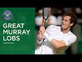 Andy Murray - The Best Lob Shot in Tennis?