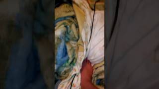 UKRAINIAN VOICE TROLL